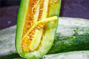 ooooo推特网红吃瓜,从吃瓜到爆红,看看他们如何玩转社交媒体! 第1张 ooooo推特网红吃瓜,从吃瓜到爆红,看看他们如何玩转社交媒体! 第1张